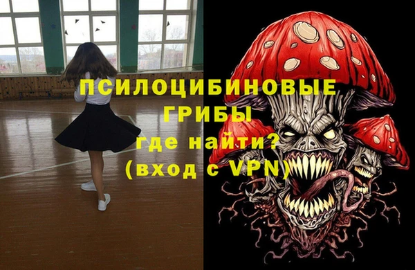 твердый Магас