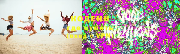 твердый Магас
