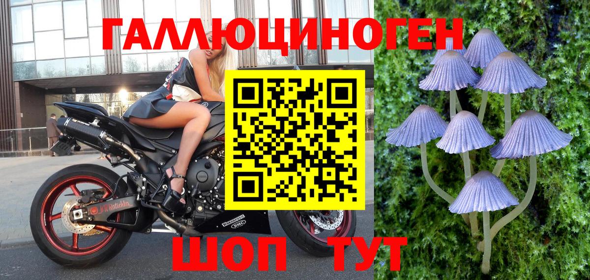 Галлюциногенные грибы Унеча